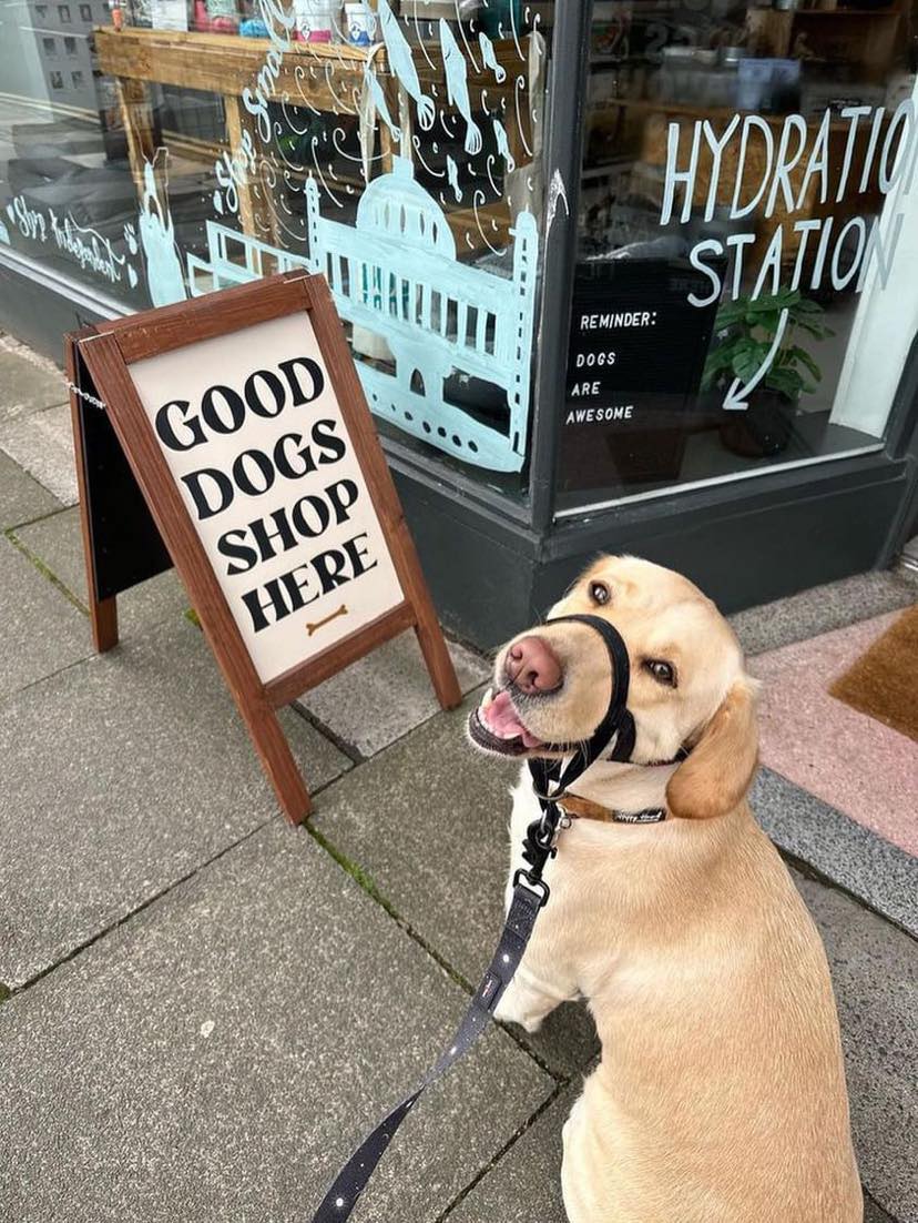 Storefront Image with Dog